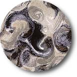 rice16-5b.jpg (8301 bytes)